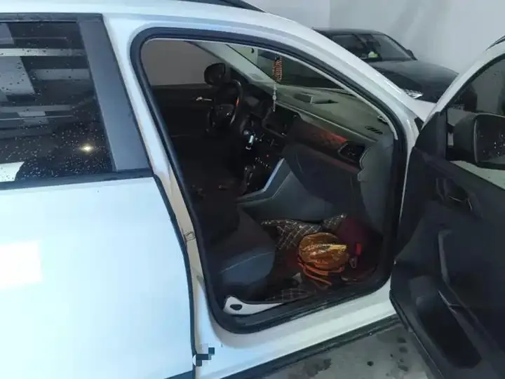 Tujia 2021 1.5L Automatic Fashion Edition 21