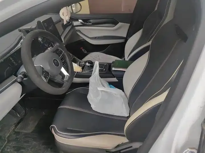 Qin PLUS 2021 DM-i 55KM flagship 16
