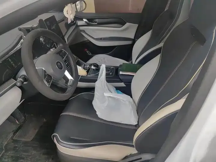 Qin PLUS 2021 DM-i 55KM flagship 17