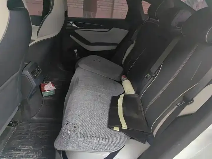 Qin PLUS 2021 DM-i 55KM flagship 18