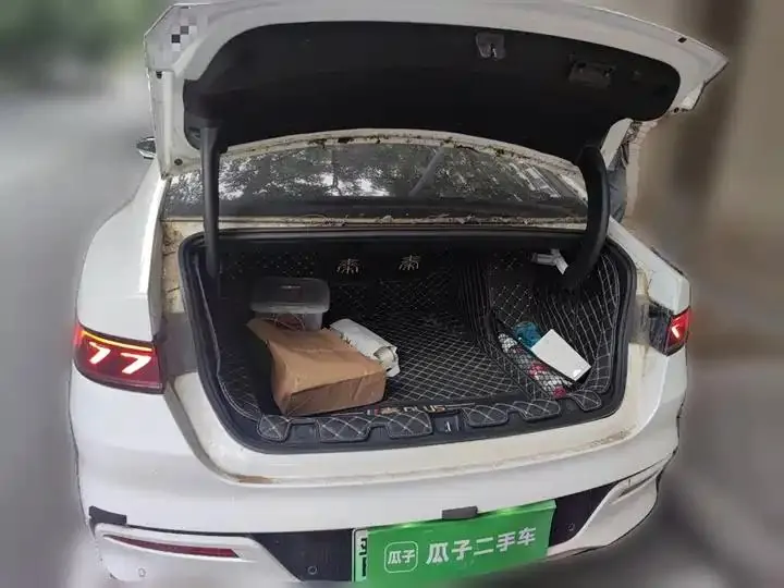 Qin PLUS 2021 DM-i 55KM flagship 20
