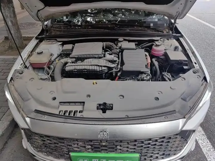 Qin PLUS 2021 DM-i 55KM flagship 21