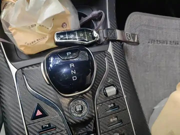 Qin PLUS 2021 DM-i 55KM flagship 9