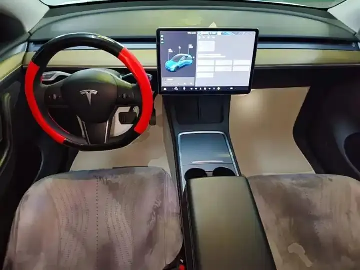 2021 Model Y Standard Range Rear-Wheel Drive Edition 10