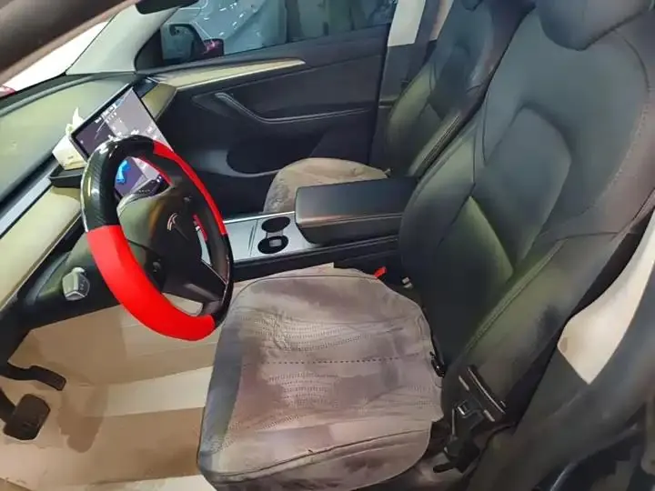 2021 Model Y Standard Range Rear-Wheel Drive Edition 15