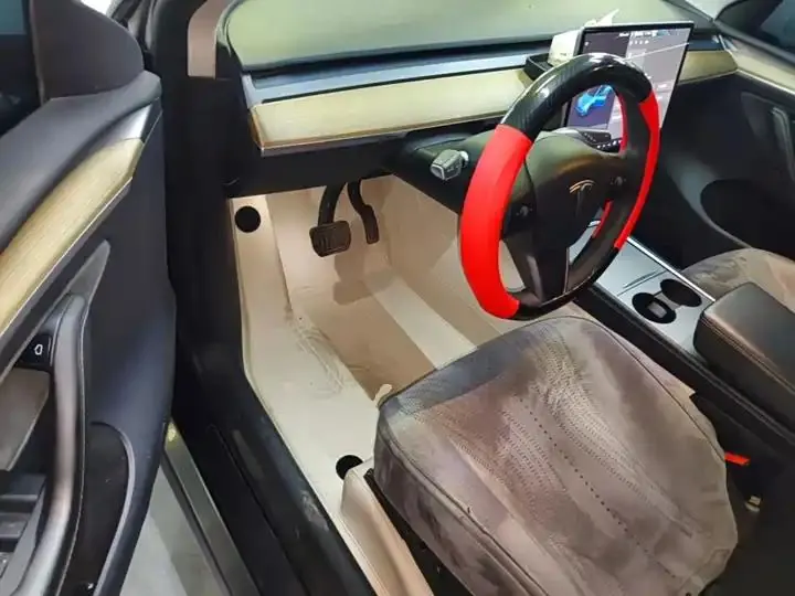 2021 Model Y Standard Range Rear-Wheel Drive Edition 16