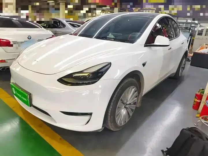 2021 Model Y Standard Range Rear-Wheel Drive Edition 2