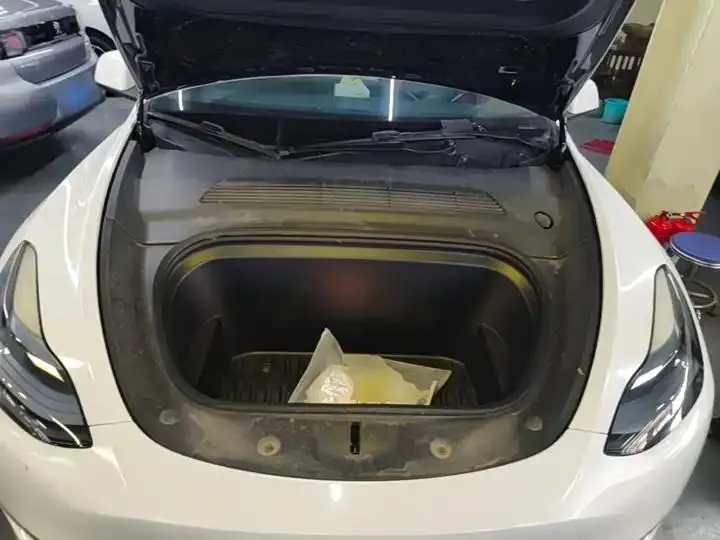 2021 Model Y Standard Range Rear-Wheel Drive Edition 20