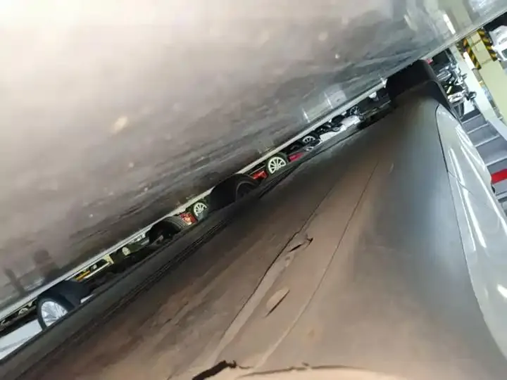 2021 Model Y Standard Range Rear-Wheel Drive Edition 22
