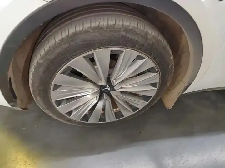2021 Model Y Standard Range Rear-Wheel Drive Edition 23