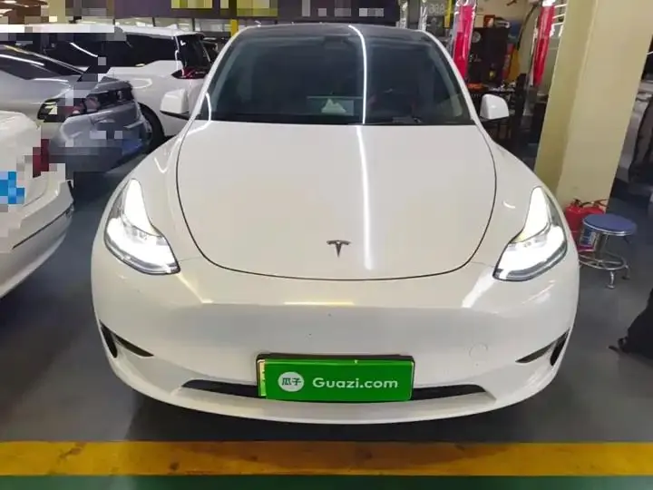 2021 Model Y Standard Range Rear-Wheel Drive Edition 3