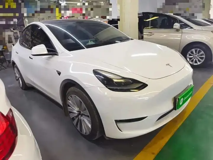 2021 Model Y Standard Range Rear-Wheel Drive Edition 4