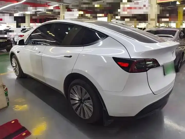 2021 Model Y Standard Range Rear-Wheel Drive Edition 5