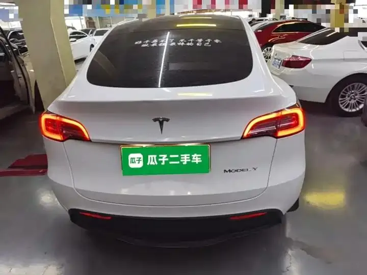 2021 Model Y Standard Range Rear-Wheel Drive Edition 6