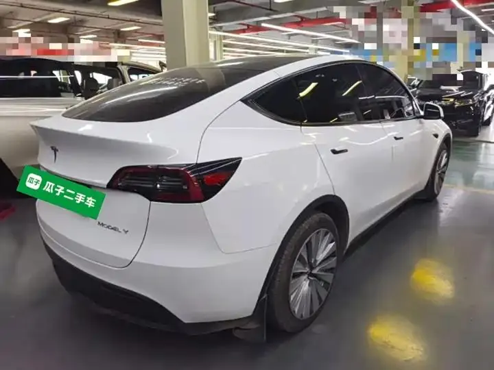 2021 Model Y Standard Range Rear-Wheel Drive Edition 7