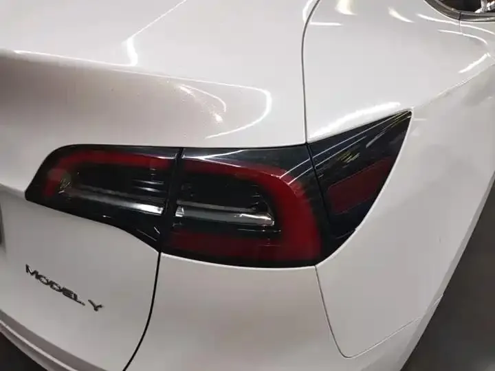 2021 Model Y Standard Range Rear-Wheel Drive Edition 8