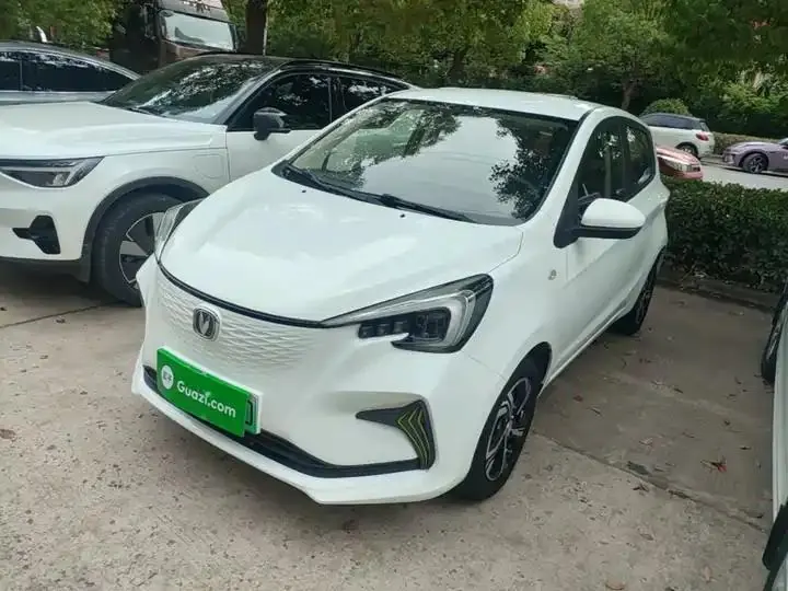 ChangAn Benben E-Star 2020 Heartbeat Edition Ternary Lithium 2