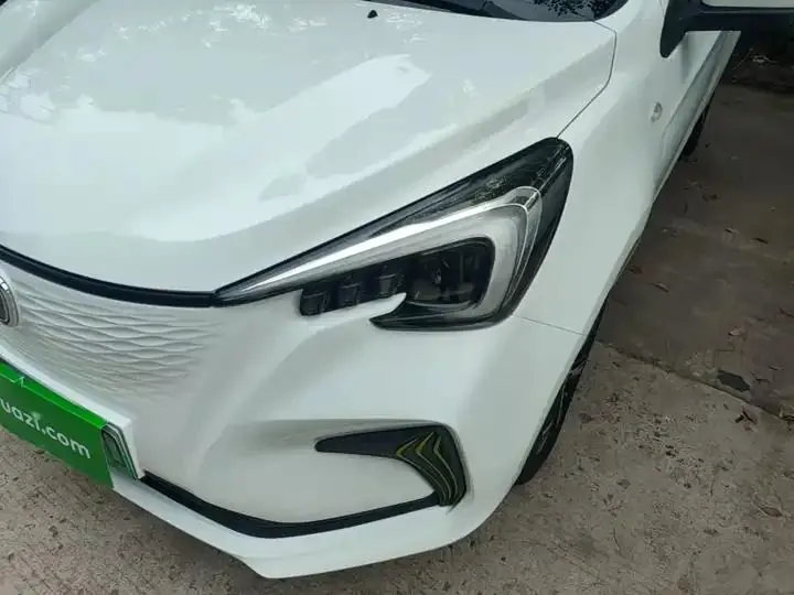 ChangAn Benben E-Star 2020 Heartbeat Edition Ternary Lithium 24