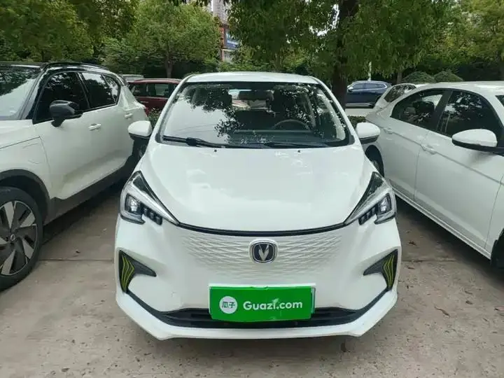 ChangAn Benben E-Star 2020 Heartbeat Edition Ternary Lithium 3