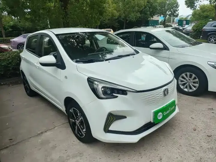 ChangAn Benben E-Star 2020 Heartbeat Edition Ternary Lithium 4