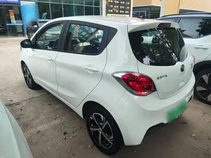 ChangAn Benben E-Star 2020 Heartbeat Edition Ternary Lithium 5