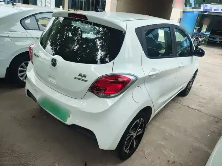 ChangAn Benben E-Star 2020 Heartbeat Edition Ternary Lithium 7