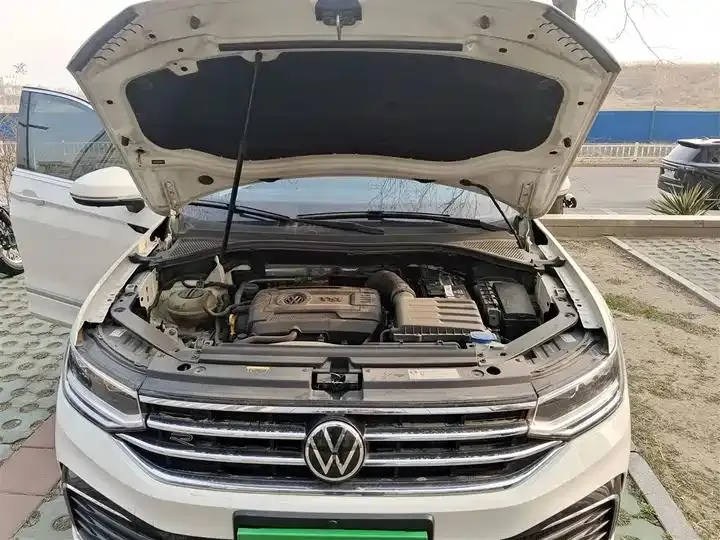 Tiguan L 2022 380TSI automatic four-wheel drive R-Line Yuexiang Edition 7 seats 16