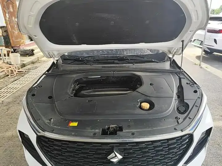 BaoJun RS-3 2020 1.5L Manual 24-hour Online Luxury Model 20