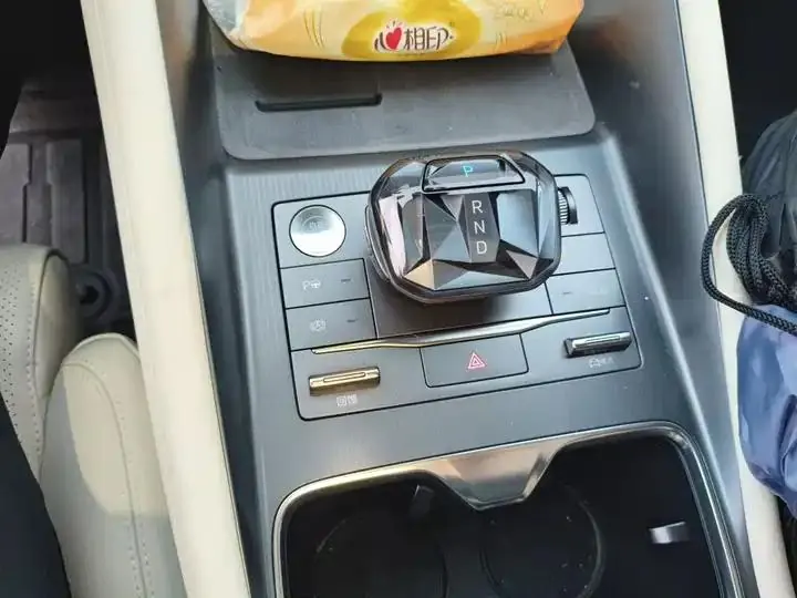 Song L EV 2025 662km Excellent Smart Driving Model 10
