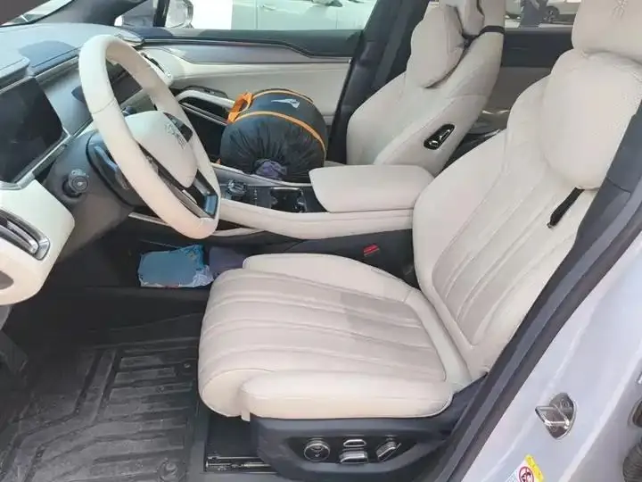 Song L EV 2025 662km Excellent Smart Driving Model 11