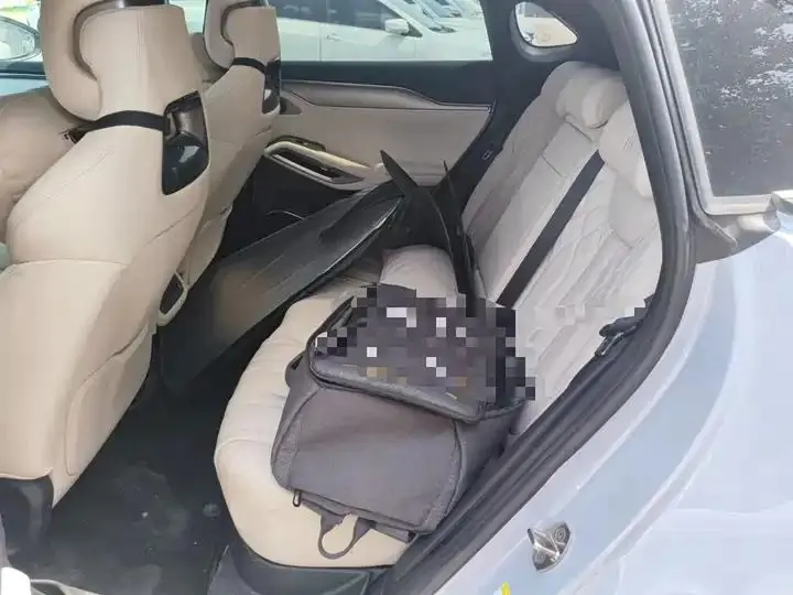 Song L EV 2025 662km Excellent Smart Driving Model 13