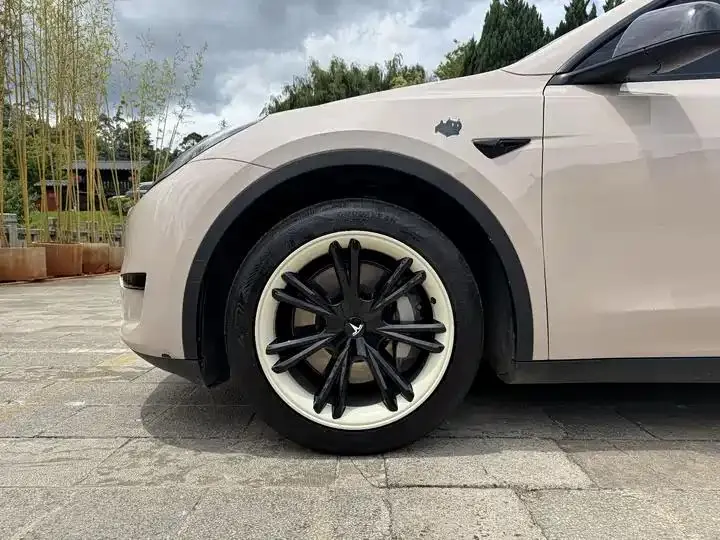 2022 Model Y Refreshed Rear-Wheel-Drive Version 4