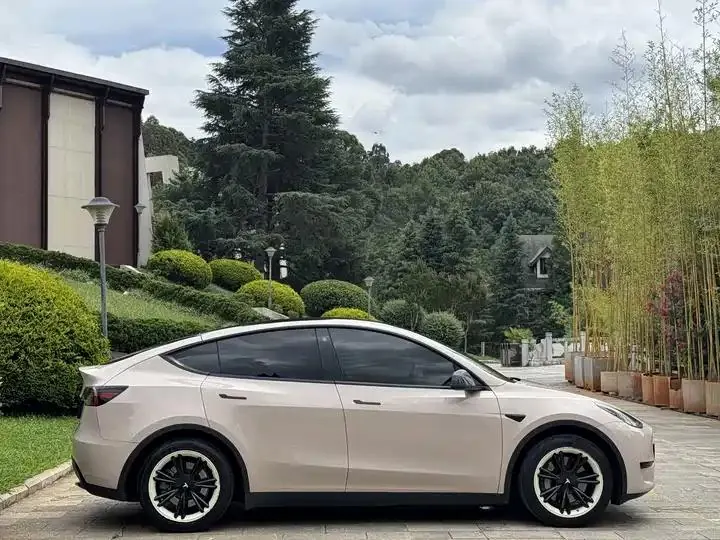 2022 Model Y Refreshed Rear-Wheel-Drive Version 6