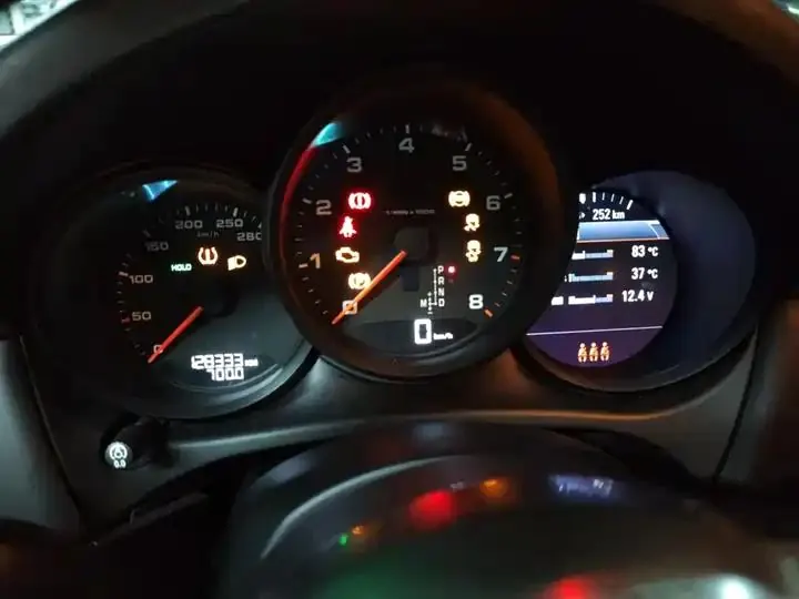 Macan 2020 Macan 2.0T 12