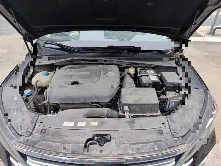 Chuanqi GA6 2019 270T Auto Deluxe Edition 11