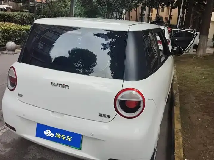 ChangAn Lumin 2023 205km Xiangqin 3