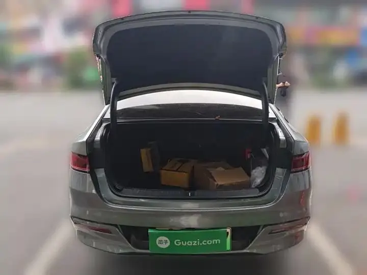 Qin PLUS 2024 Glory Edition DM-i 55KM Leading Model 10