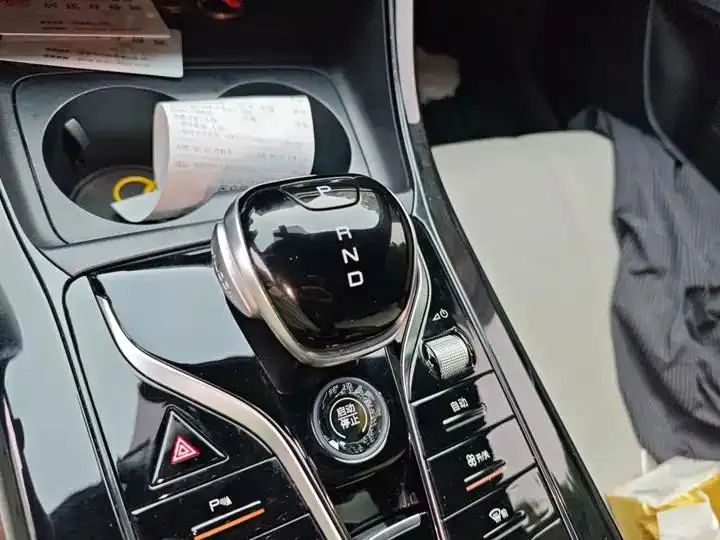 Qin PLUS 2024 Glory Edition DM-i 55KM Leading Model 7