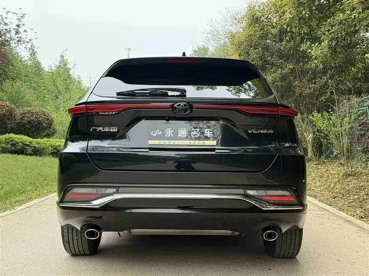 Wei Sa 2023 2.0L CVT Two-Drive Deluxe Edition 14