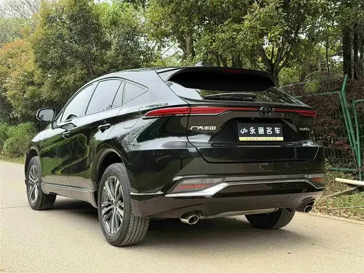 Wei Sa 2023 2.0L CVT Two-Drive Deluxe Edition 16