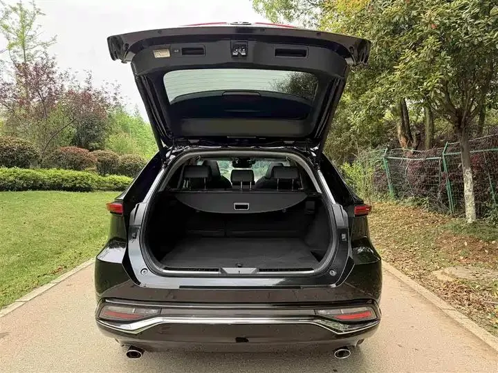 Wei Sa 2023 2.0L CVT Two-Drive Deluxe Edition 17