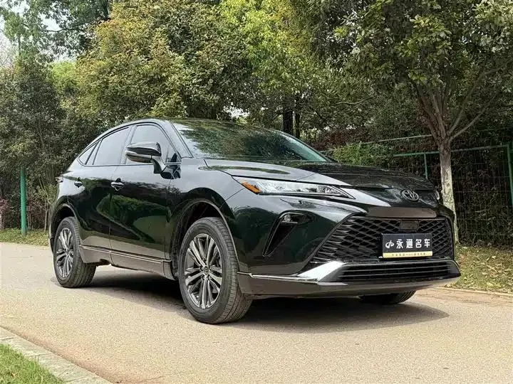 Wei Sa 2023 2.0L CVT Two-Drive Deluxe Edition 3