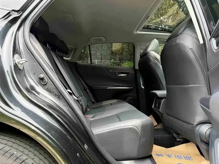 Wei Sa 2023 2.0L CVT Two-Drive Deluxe Edition 6