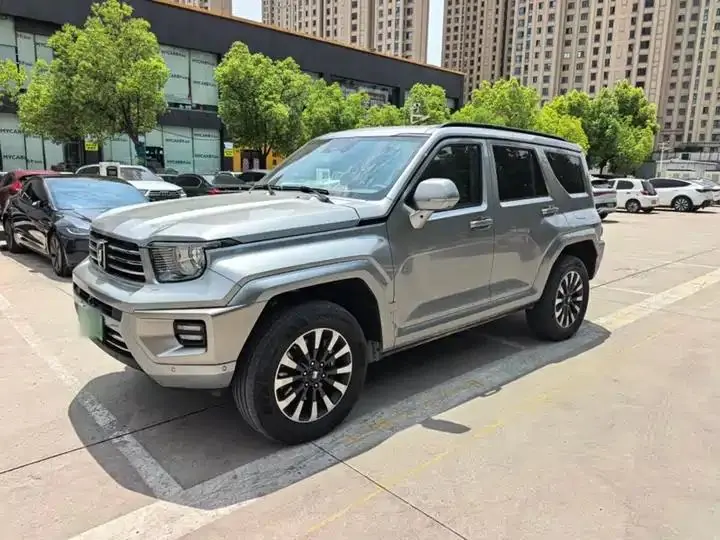Tank 700 New Energy 2024 Model Hi4-T Ultimate Edition 25