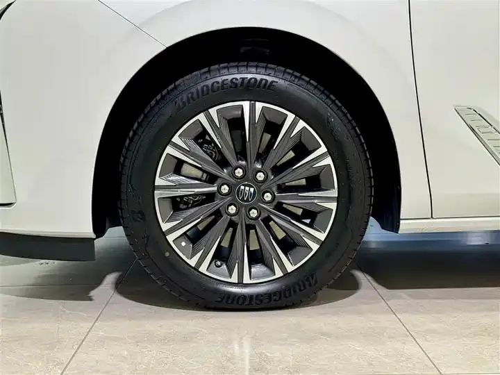 Buick GL8 2025 Lu Zun Exclusive Edition 10