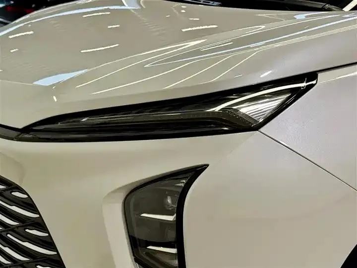 Buick GL8 2025 Lu Zun Exclusive Edition 8