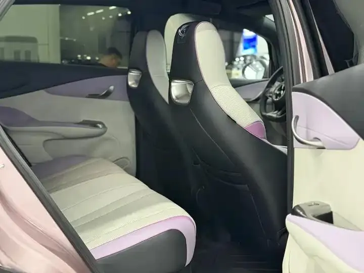 Dolphin 2024 Glory Edition 420km Fashion Version 10