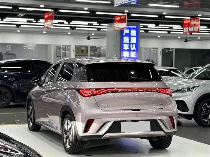 Dolphin 2024 Glory Edition 420km Fashion Version 4