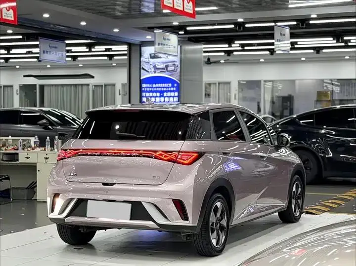 Dolphin 2024 Glory Edition 420km Fashion Version 6
