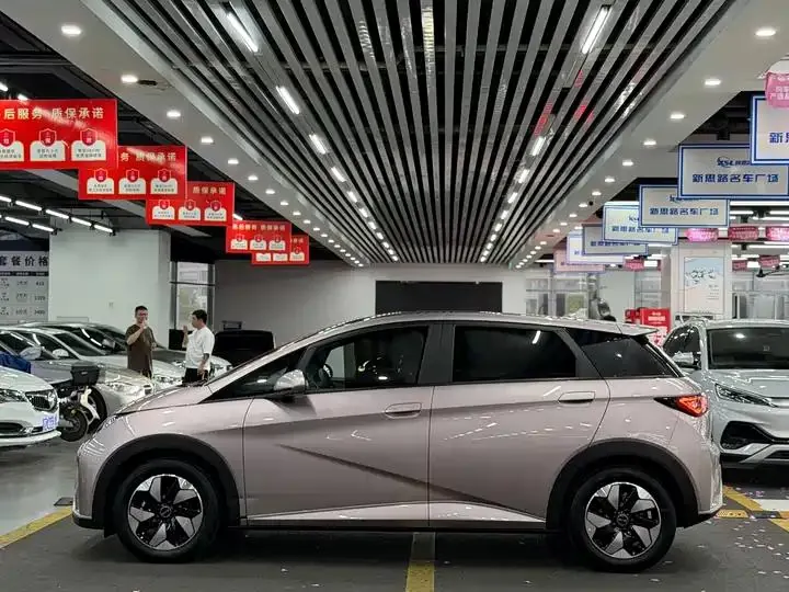 Dolphin 2024 Glory Edition 420km Fashion Version 7
